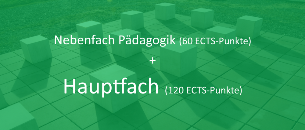 Nebenfach Pädagogik (60 ECTS-Punkte) + Hauptfach (120 ECTS-Punkte)